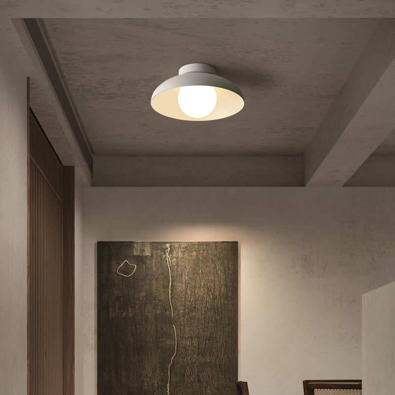 Globo de vidrio de hierro wabi-sabi japonés de 1 luz