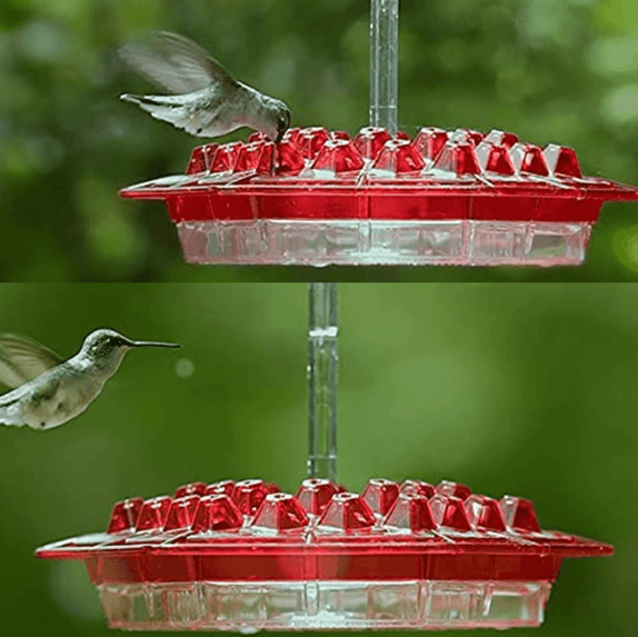 Mangiatoia per colibrì con pernice antiformica da esterno