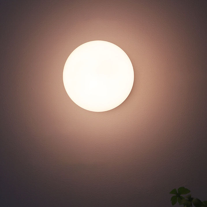 Puili | 1-Luce