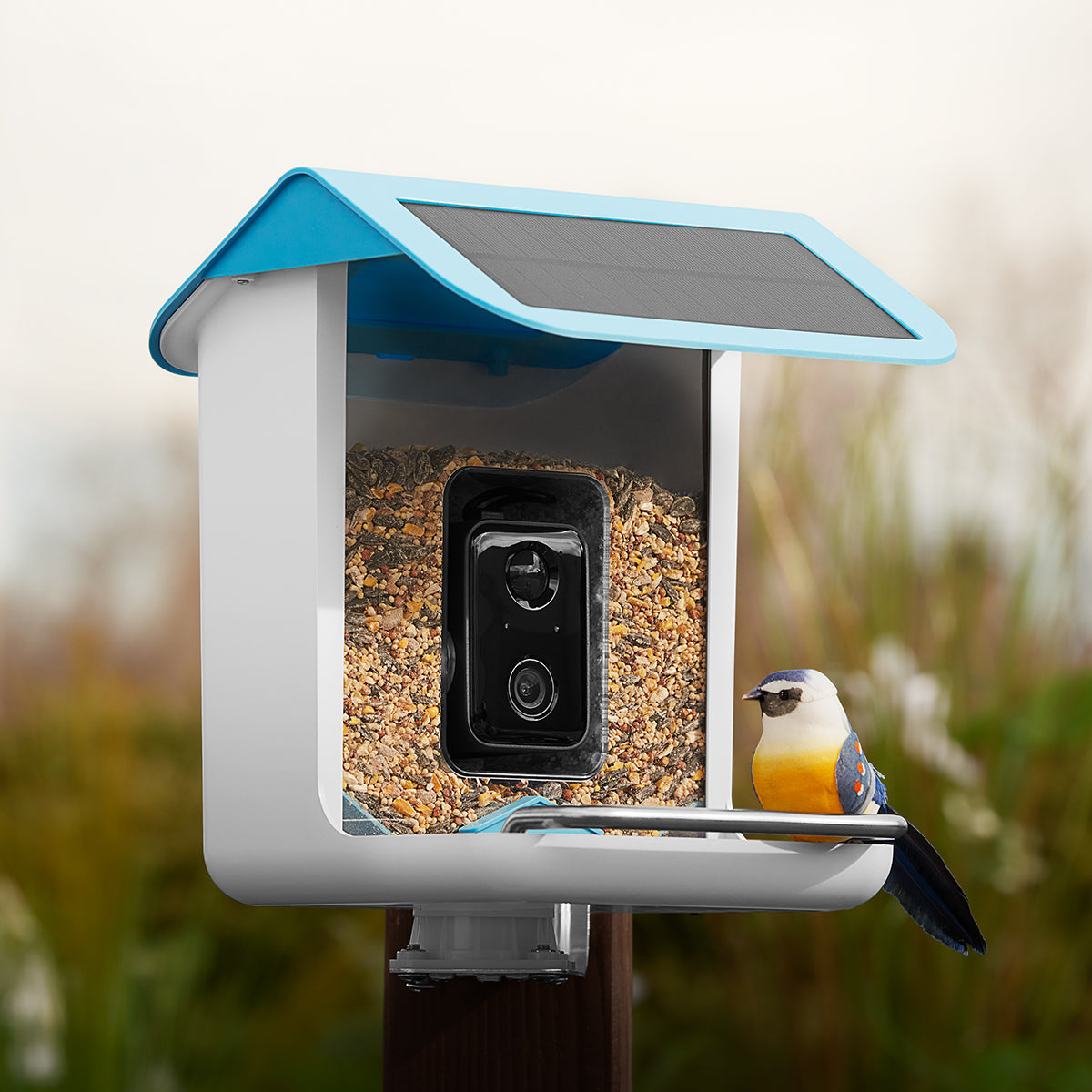 Video Camera Bird Feeder by Frosetpro