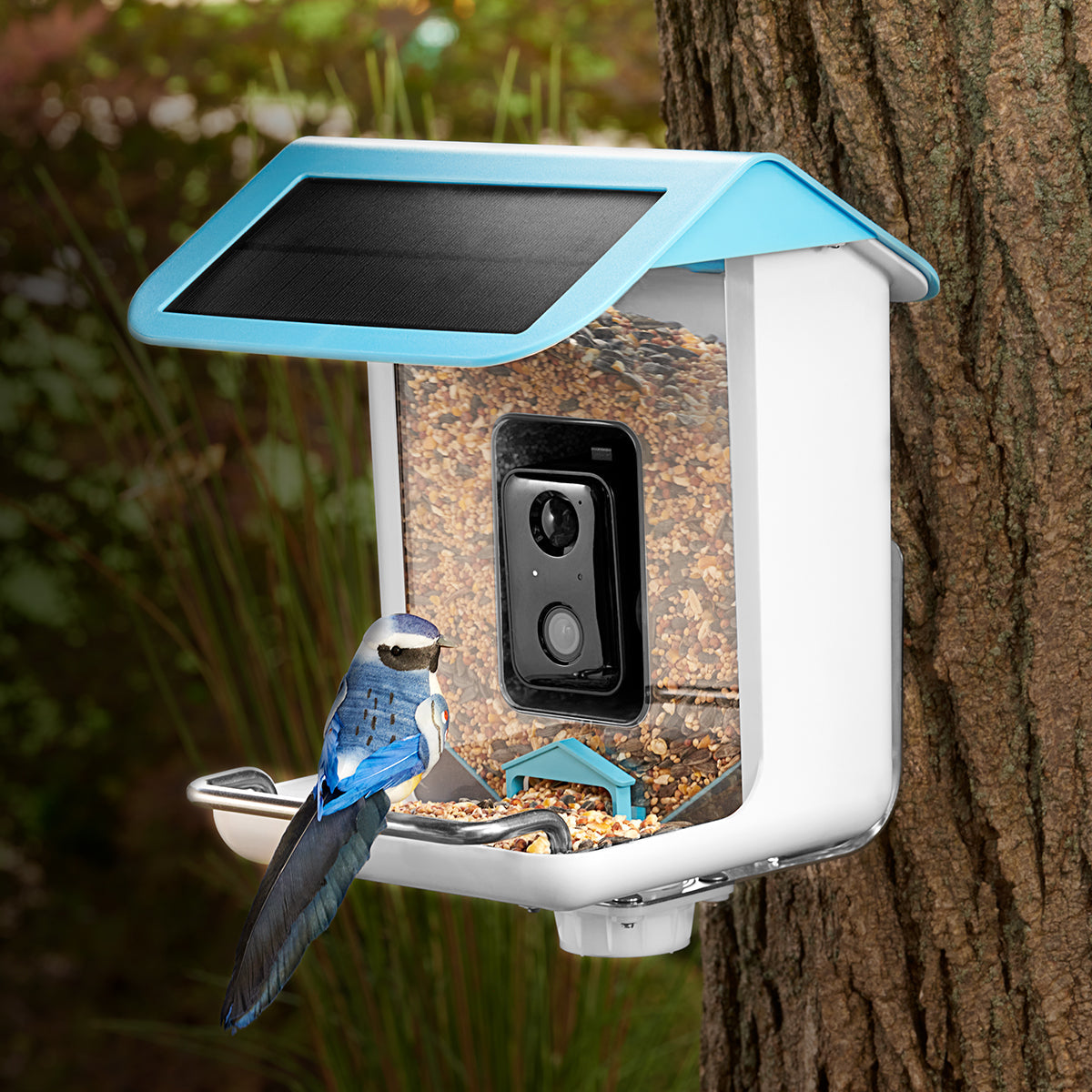 Video Camera Bird Feeder by Frosetpro