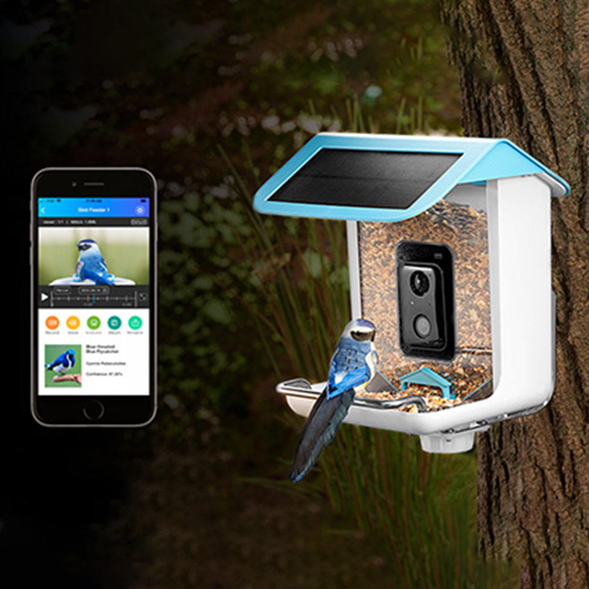 Video Camera Bird Feeder by Frosetpro