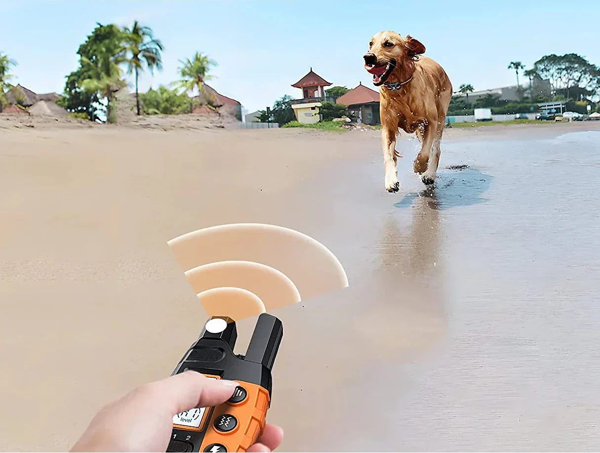 NovaPace 1000m Ferntrainingshalsband für Hunde, wasserdicht