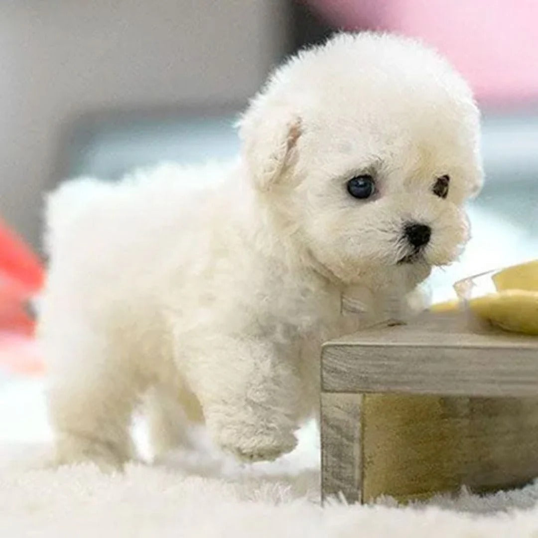 Robotic Dog Toy Interactive Realistic Plush Puppy
