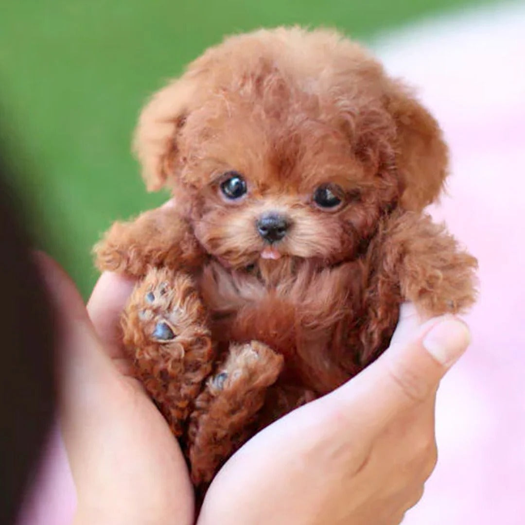 Robotic Dog Toy Interactive Realistic Plush Puppy