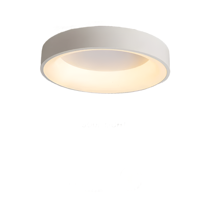 Nordische moderne runde LED-Deckenleuchte 1-flammig