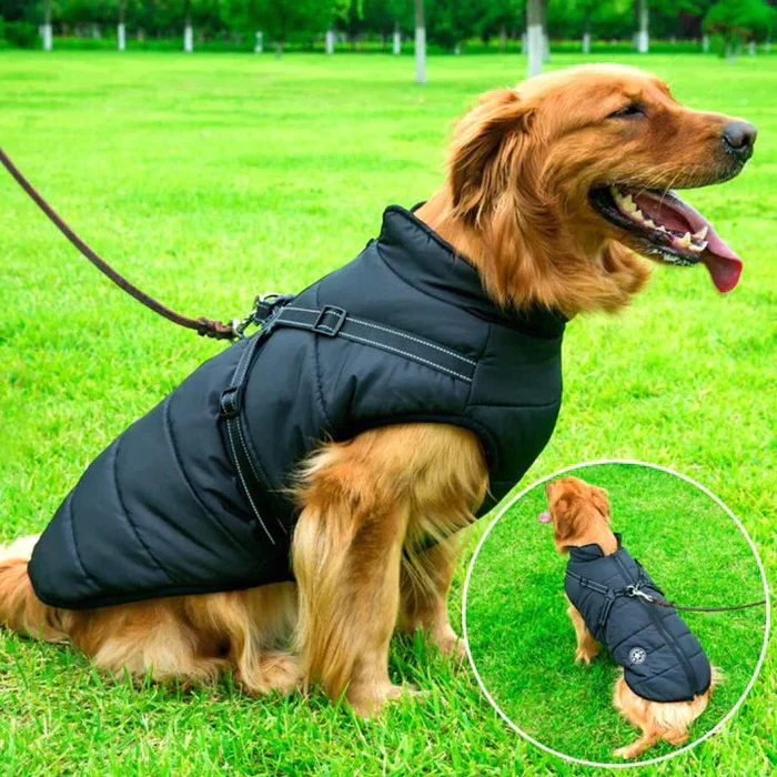 Vandtæt Vinter Hundejakke - Sherpa-Fleece Foret - Indbygget Sele