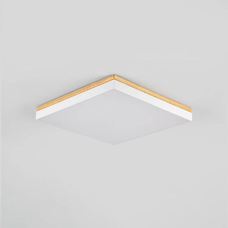 Puili | 1 luz