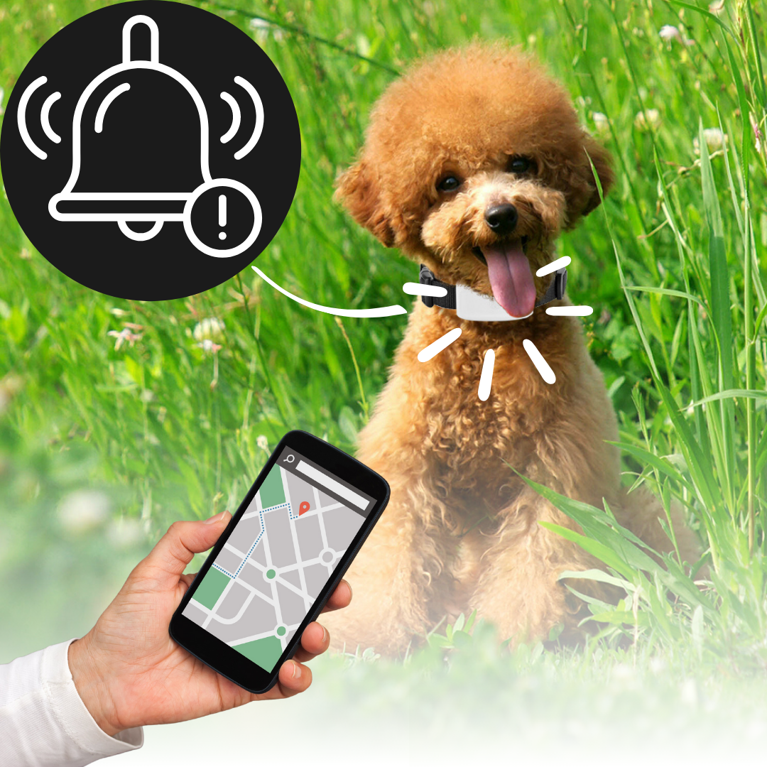 Collar GPS para seguimiento de mascotas
