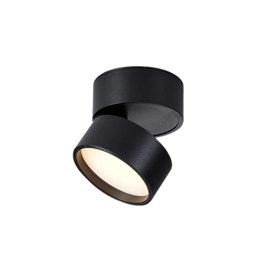 Modern Adjustable LED Ceiling Light 1-Light