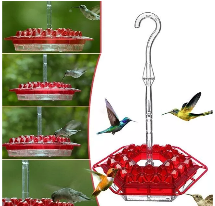 Mangiatoia per colibrì con pernice antiformica da esterno
