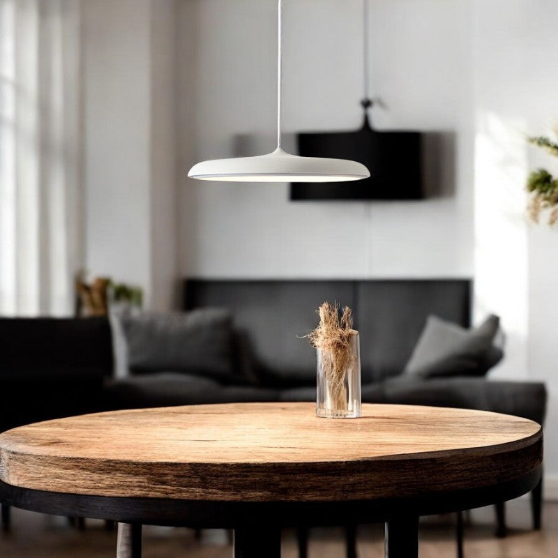 Scandinavian Round Pendant Light LED 1-Light