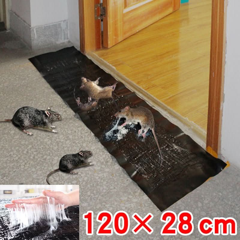 Rodent Glue Trap | Indoor Rat Mouse Catcher