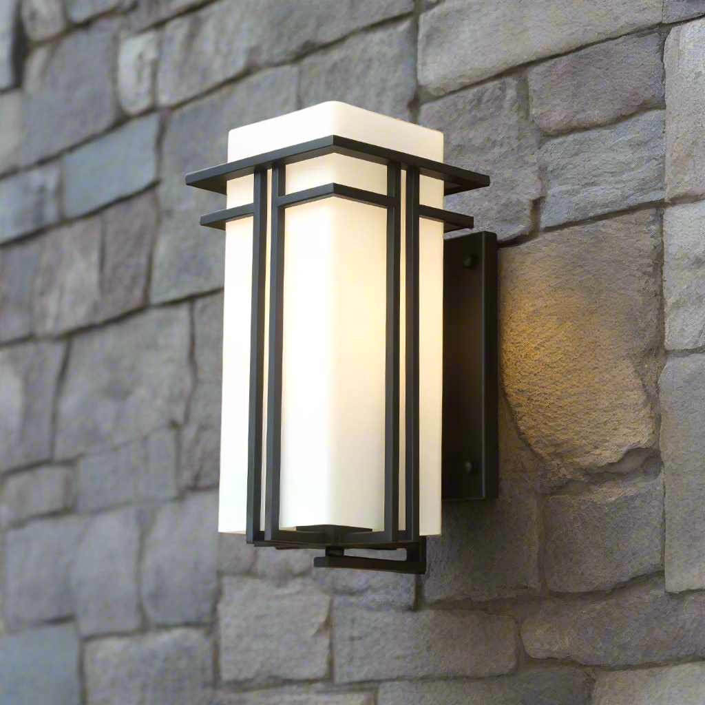 Lampada da parete esterna retrò industriale in ferro con vetro LED 1 luce