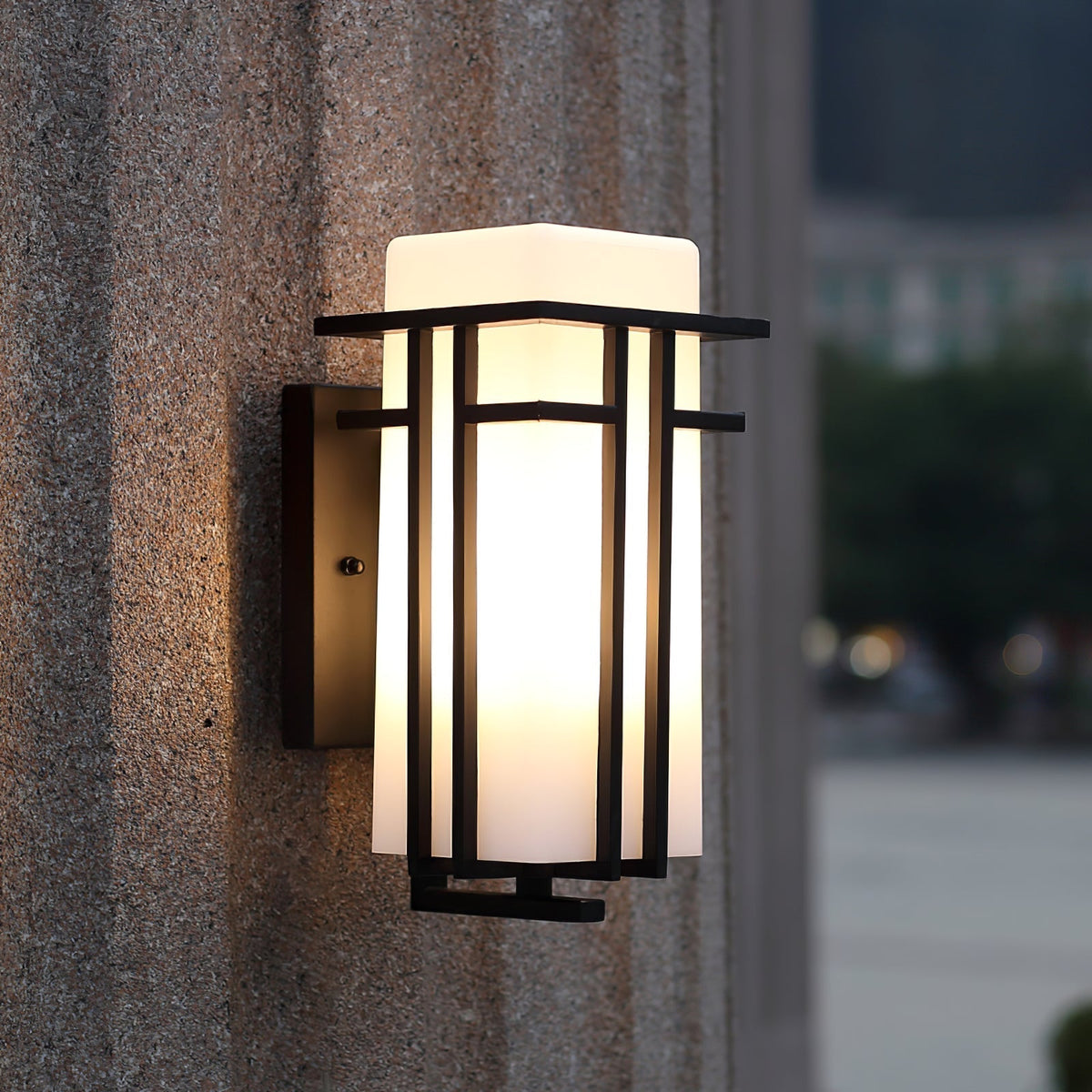 Lampada da parete esterna retrò industriale in ferro con vetro LED 1 luce