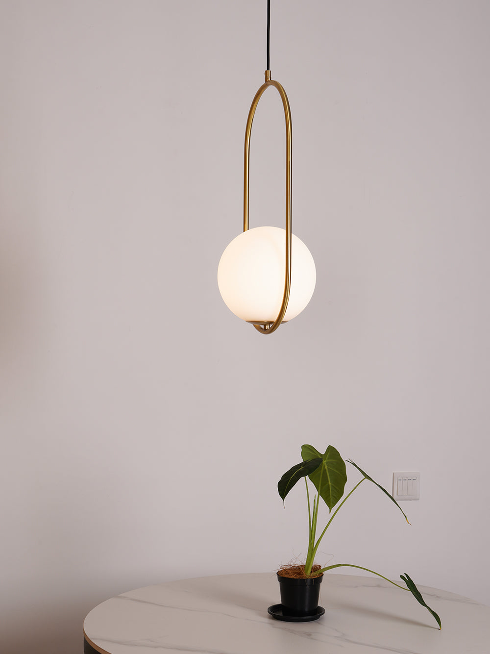 Modern Brass Ring Globe Glass Pendant Light 1-Light