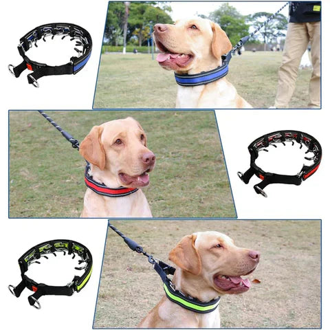 Dog Training Collar LeadEase No-Pull Adjustable Stainless Steel Chain