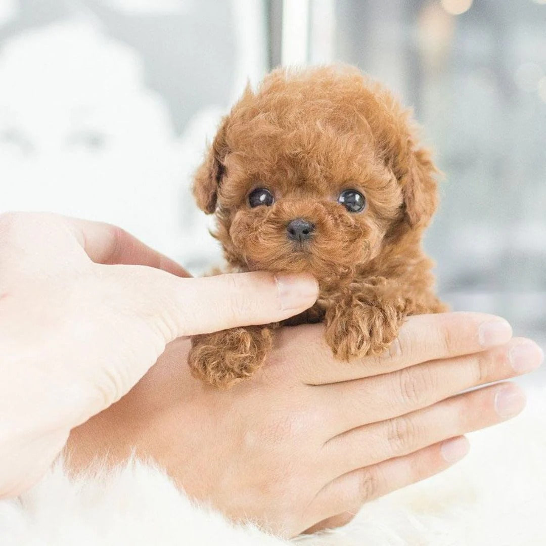 Robotic Dog Toy Interactive Realistic Plush Puppy