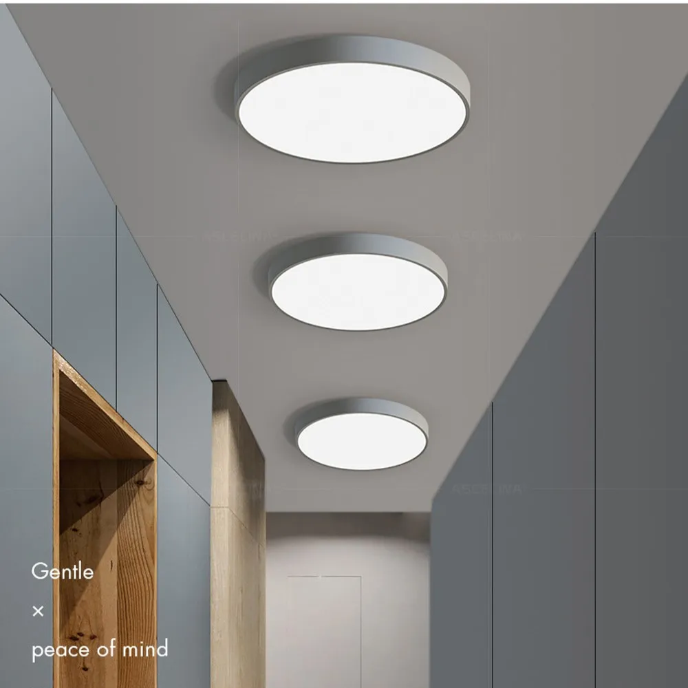 Lampada da soffitto rotonda LED moderna minimalista 1 luce