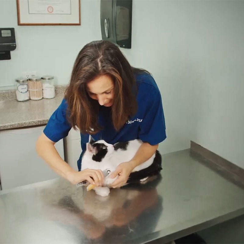 PawGuard Pro Nail Clippers with Advanced Quick Sensors