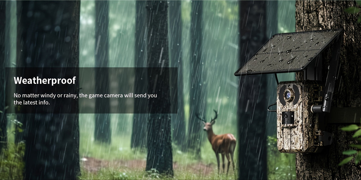 Cámara de rastreo para caza 4K con vista en vivo 4G - Alimentada por energía solar, disparo en 0.2 s y visión nocturna automática