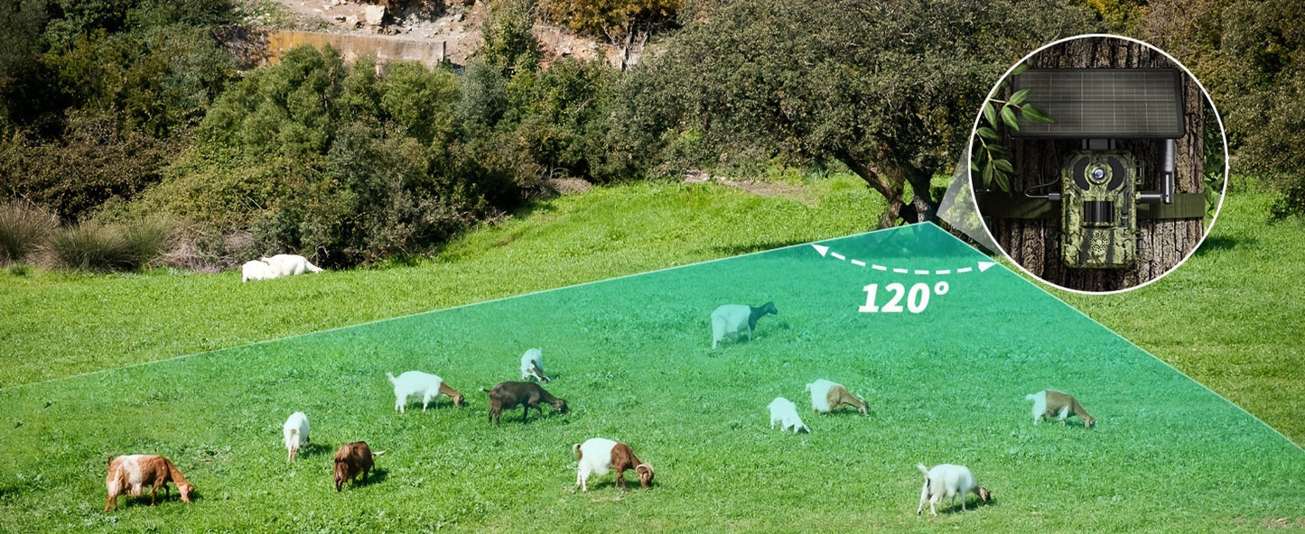 Cámara de rastreo para caza 4K con vista en vivo 4G - Alimentada por energía solar, disparo en 0.2 s y visión nocturna automática