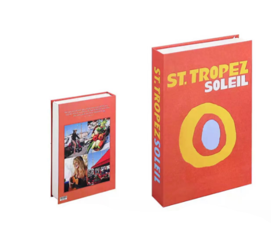 Libros decorativos – Ilumina tu sala de estar con estas alegres decoraciones – CozyBooks