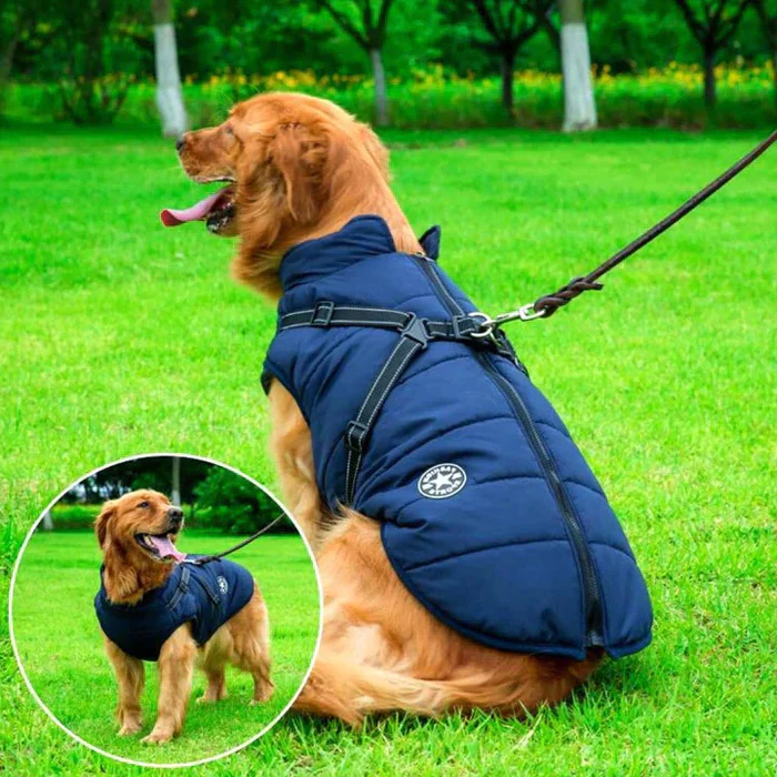 Vandtæt Vinter Hundejakke - Sherpa-Fleece Foret - Indbygget Sele